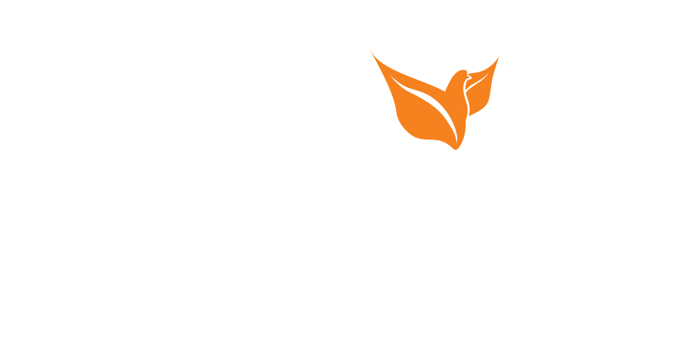 Our Church Logo white